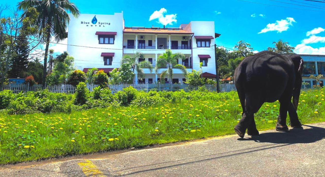 Blue Spring Hotel Wadduwa Dış mekan fotoğraf